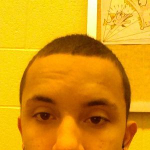 Meet your Posher, Izzy